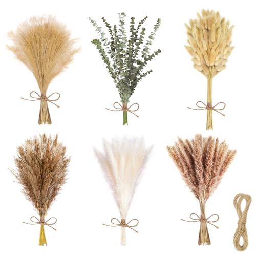 Qcdou Getrocknete Pampasgrasdekoration, 120-teiliges Set von Boho-Pampasgras-Dekor, 10m DIY Jute-Schnur Natur Braun Jute-Kordel, natürlich getrocknete Hasenschwanz getrocknetes Blumen/Eukalyptus-B von Qcdou