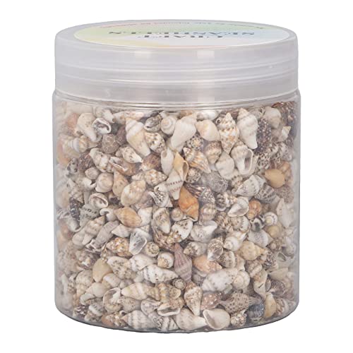 1 Dose Winzige Muscheln, Muscheln, Nicht Poröse, Natürliche Spiralmuscheln, Conch, Winzige Mini-Muscheln für DIY-Aquarium-Landschaftsbau, Treibflaschen-Dekoration von Qcwwy