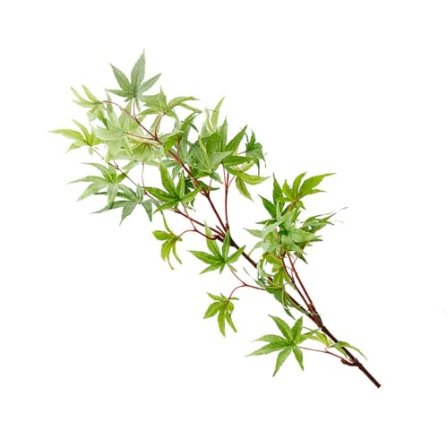 Qcwwy Äste von 83 cm Länge, simulierte Ahornblätter, Herbststiele von Qcwwy