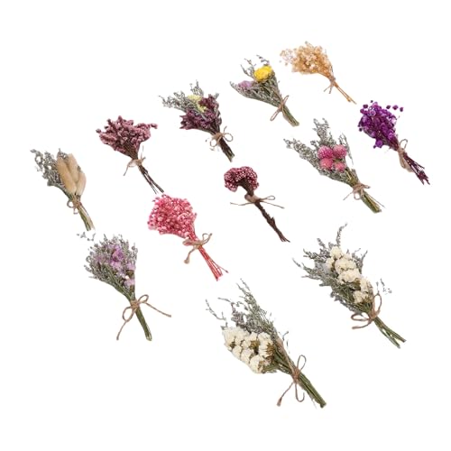 Qcwwy Getrocknete Blumenarrangements Kleiner Getrockneter Blütenstrauß, 12 Stcs Schöne und Lebendige Trockene Blumensträuße Handgefertigte Getrocknete Blüten und Pflanzen, die für Hochzeitspulen Qcwwy Getrocknete Blumenarrangements Kleiner Getrockneter Blütenstrauß, 12 Stcs Schöne und Lebendige Trockene Blumensträuße Handgefertigte Getrocknete Blüten und Pflanzen, die für Hochzeitspulen von Qcwwy