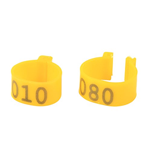Qcwwy Klemmen/Grip -Design 100 STC/Corral Vogels Reifenbeutel auf Dem Hühnerdeck (Yellow) von Qcwwy