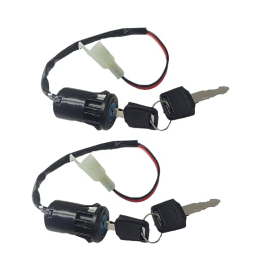 2 Draht 28 mm Loch Moped Zündschlüsselschalter kompatibel mit ATV Dirt Bike Elektrisches Motorrad-GO-Kart auf Off-Werkzeugzubehör(2 Stück) von QdLmvpSDo
