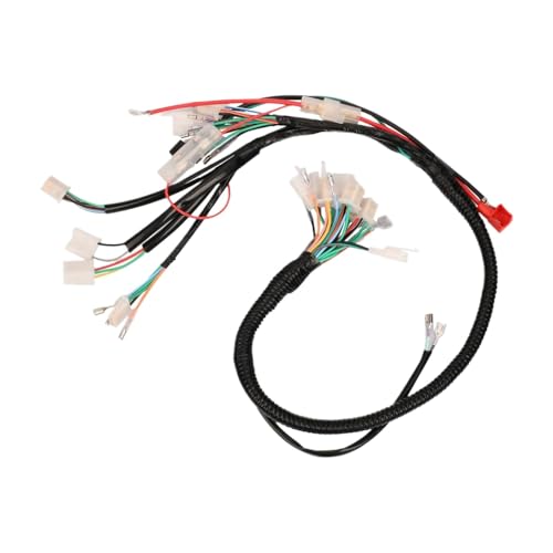 Elektrischer Verkabelungsanalyst kompatibel mit Motorradzubehör Trail Monkey Bike Z50 Z50A Z50J Z50R SFP Vegetation(WEISS) von QdLmvpSDo