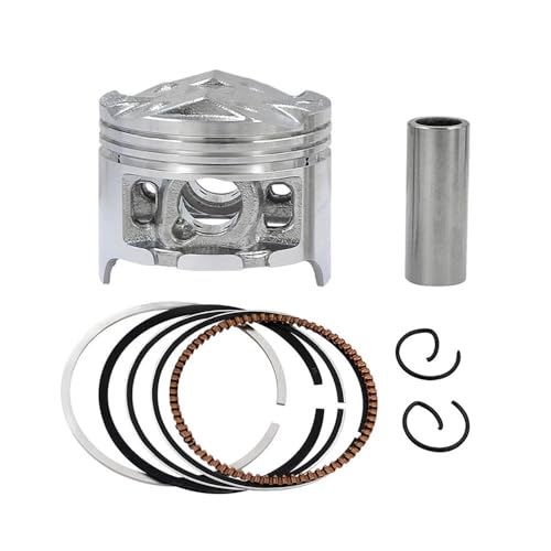 Qdkpgls 1 4 Sets Motorrad 48,5mm 49mm Kolbenringe Kit Kompatibel mit CBR250 KY1 MC19 CBR19 CBR 250(1 Piston kit 49mm) von Qdkpgls