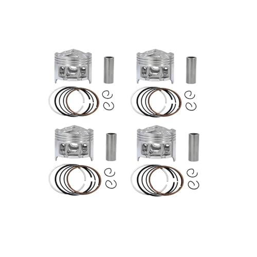 Qdkpgls 1 4 Sets Motorrad 48,5mm 49mm Kolbenringe Kit Kompatibel mit CBR250 KY1 MC19 CBR19 CBR 250(4 Piston kit 49mm) von Qdkpgls