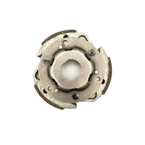 Qdkpgls 143mm Kupplungsscheibe Nasskupplungsträger Assy for S 300cc ATV 300B 4x4 300 2.3.10.1100 2.3.01.1100 LU020120 von Qdkpgls