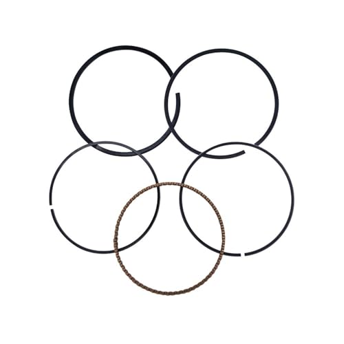 Qdkpgls KOLBENRING for 500 ATV 192MR-1004100 192MR-1004002 von Qdkpgls