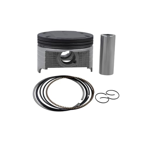 Qdkpgls Motorrad 73mm 74,5mm Kolbenringe Kit for DR250 1990-1995 AN250 250cc 1998-2006(Ring (73.5mm)) von Qdkpgls