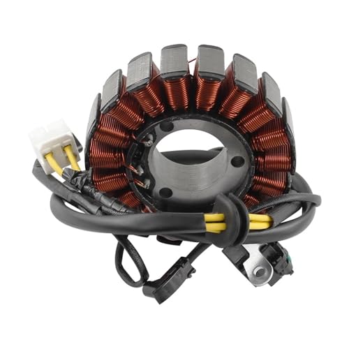 Qdkpgls Motorrad Generator Stator Spule Comp for BR250 Z250SL ABS 2014 2015 2016 BX250 250SL ABS 2015 2016 Qdkpgls Motorrad Generator Stator Spule Comp for BR250 Z250SL ABS 2014 2015 2016 BX250 250SL ABS 2015 2016 von Qdkpgls