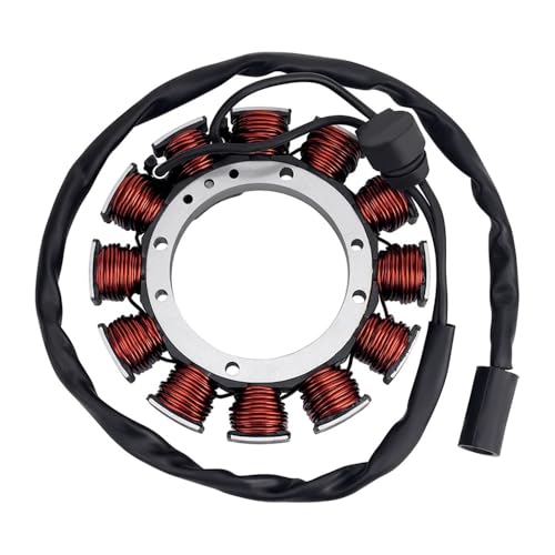 Qdkpgls Motorrad Generator Stator Spule Comp for S 1200 883 883R XL1200 XL883 R XL1200R XL883C 29967-89C Qdkpgls Motorrad Generator Stator Spule Comp for S 1200 883 883R XL1200 XL883 R XL1200R XL883C 29967-89C von Qdkpgls