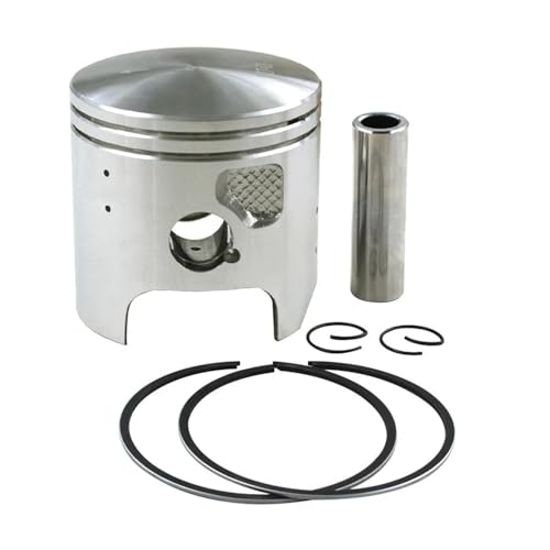 Qdkpgls Motorrad Größe 66mm 100 Kolben Und Ringe Kit Zubehör for KDX200 1989-2006(Assemby 67mm) von Qdkpgls