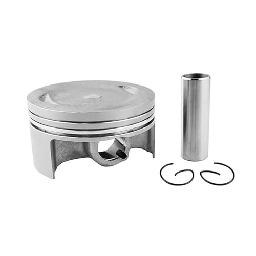 Qdkpgls Motorrad Größe 74mm STD 100 Kolbenringe Kit for YBR250 XG250 YFM25R R 250 XT250 YS250(Multi) von Qdkpgls
