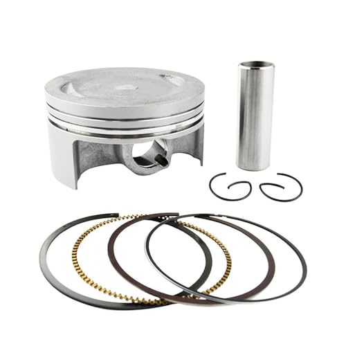 Qdkpgls Motorrad Größe 74mm STD 100 Kolbenringe Kit for YBR250 XG250 YFM25R R 250 XT250 YS250(Orange) von Qdkpgls