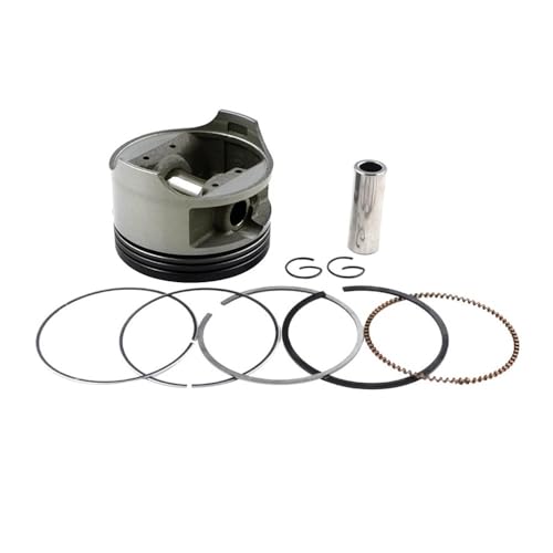 Qdkpgls Motorrad-Zylinderbohrungsgröße 66 66,25 66,50 67 mm Kolbenringsatz for DF200 DR200SE DR200 DR200S RV200(Piston Kit 66.25mm) von Qdkpgls