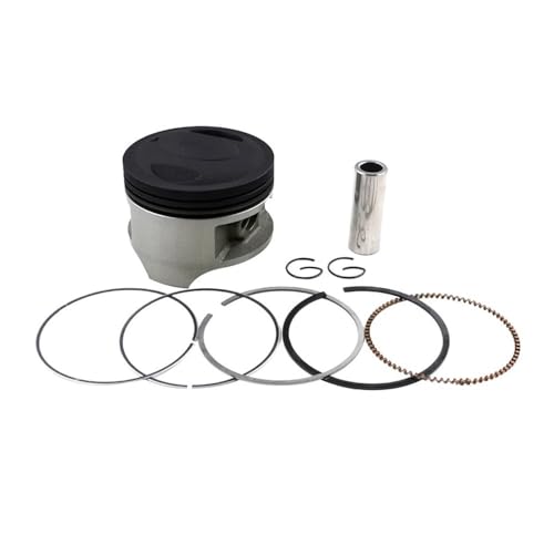 Qdkpgls Motorrad-Zylinderbohrungsgröße 66 66,25 66,50 67 mm Kolbenringsatz for DF200 DR200SE DR200 DR200S RV200(Piston Kit 66.50 mm) von Qdkpgls