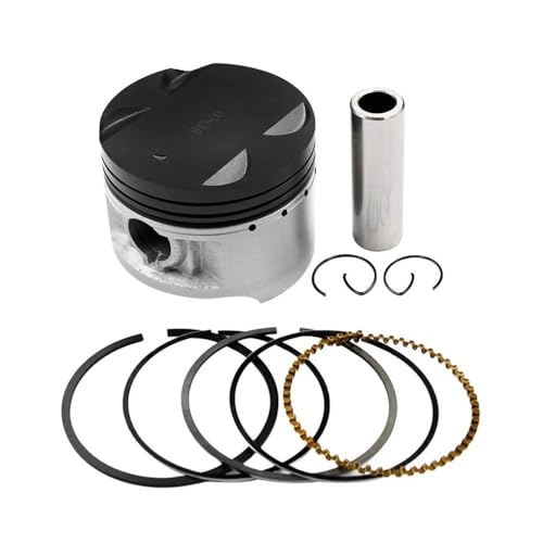 Qdkpgls Motorrad-Zylinderbohrungsgröße 72 73 mm Kolbenringe-Kit for GN250 85-01 DR250 82-86 GZ250 M 99-11 TU250 97-01(Piston Kit 72.50 mm) von Qdkpgls