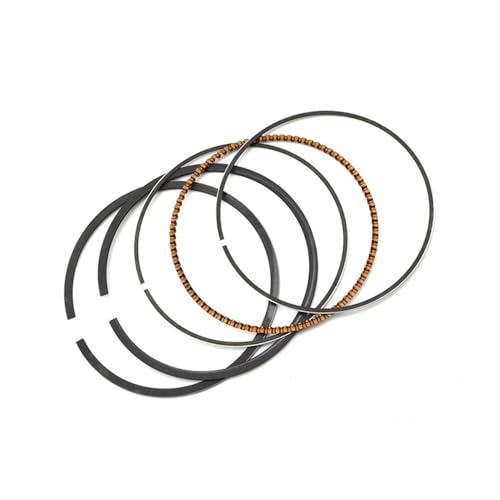 Qdkpgls Motorrad-Zylinderbohrungsgröße 72 73 mm Kolbenringe-Kit for GN250 85-01 DR250 82-86 GZ250 M 99-11 TU250 97-01(Ring72.75mm) von Qdkpgls