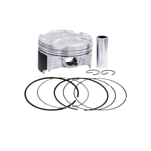 Qdkpgls Motorradteile Größe 76 mm 76,5 77 mm STD 50 100 Kolbenringe Passend for CBR250 2011–2013 CRF250L 2013–2016 CRF250(Oversize50 (76.50)) von Qdkpgls