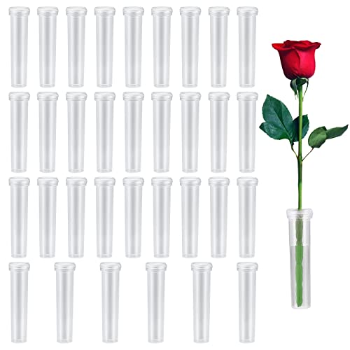 Qeapug 33 Stück Blumenröhrchen, Blumen Wasserröhrchen, Orchideenröhrchen mit Kappen Kunststoff Wiederverwendbare, Blumen Reagenzgläser Wasserbehälter für Blumen Florist von Qeapug