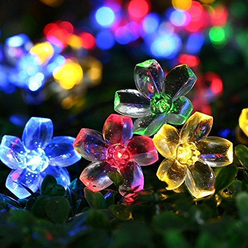 Qedertek Solar Lichterkette Aussen 7M 50 LED Blumen Lichterkette Außen Solar Wasserdicht IP65, 8 Modi Solarlichterkette für Garten, Terrasse, Balkon, Bäume, Hochzeiten, Party Deko (Bunt) von Qedertek