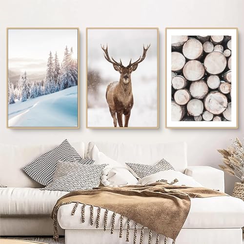 Qeuufieu Premium Wandbilder 3er Set Moderne Bilder Winter Poster Natur Aesthetic Bild Wandbilder, Wohnzimmer Schlafzimmer Wanddeko Kunstdruck, ohne Rahmen (30x40cm) von Qeuufieu