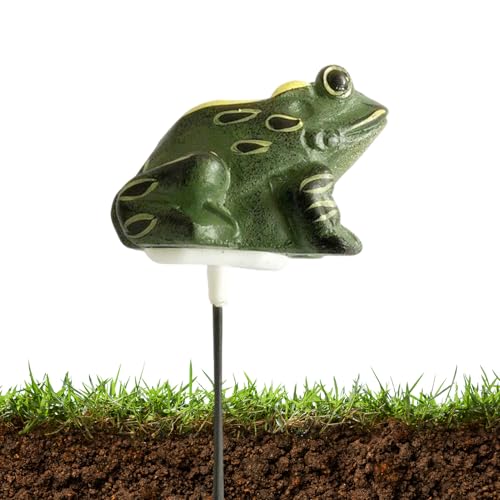 Qfdiwr Feuchtigkeitsmesser für den Garten, in Froschform, Testwerkzeug aus Kunstharz, wiederverwendbar, präzise für Gartenarbeit, Rasen, Pflanzen, Innen- und Außenbereich Qfdiwr Feuchtigkeitsmesser für den Garten, in Froschform, Testwerkzeug aus Kunstharz, wiederverwendbar, präzise für Gartenarbeit, Rasen, Pflanzen, Innen- und Außenbereich von Qfdiwr