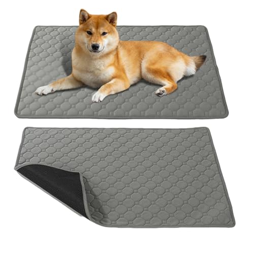 Qfdiwr Hundetoiletten Für Hunde - Wiederverwendbare Hunde Katzen Toilettenmatte - wasserdichte Schutzmatte Für Innen Außen Reise Schlafbox Welpen Training von Qfdiwr