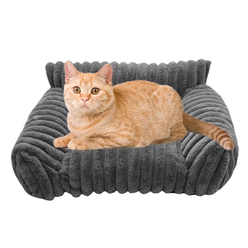 Qfdiwr Katzenbett Couch | rutschfeste Haustier Couch - Erhöhtes Gemütliches Katzen Und Hund Sofa Bett Für Wohnung Reisen Terrasse Drinnen Und Draußen Qfdiwr Katzenbett Couch | rutschfeste Haustier Couch - Erhöhtes Gemütliches Katzen Und Hund Sofa Bett Für Wohnung Reisen Terrasse Drinnen Und Draußen von Qfdiwr
