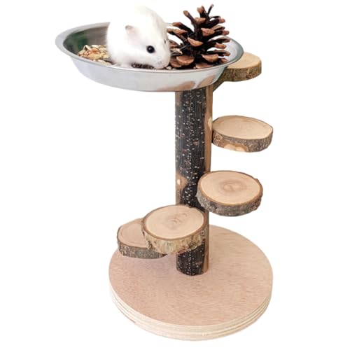 Qfdiwr Leiter aus Holz für Hamster, Holzleiter, Spielzeug für Nagetiere – Schüssel aus Edelstahl inklusive für Übung, Fütterung und Spiel Qfdiwr Leiter aus Holz für Hamster, Holzleiter, Spielzeug für Nagetiere – Schüssel aus Edelstahl inklusive für Übung, Fütterung und Spiel von Qfdiwr
