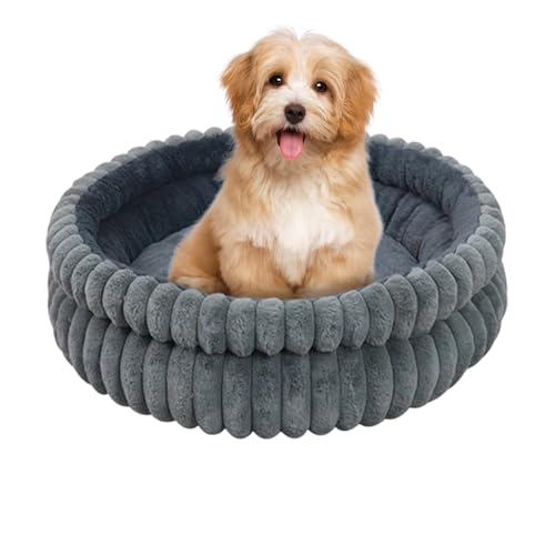 Qfdiwr Runde Hundematte, Donut- für Katzen | rundes Bett 50 cm, zerlegbar und waschbar, für Welpen, Sofa, für Hunde, Katzen, Innen- und Außenbereich, Ruheplatz Qfdiwr Runde Hundematte, Donut- für Katzen | rundes Bett 50 cm, zerlegbar und waschbar, für Welpen, Sofa, für Hunde, Katzen, Innen- und Außenbereich, Ruheplatz von Qfdiwr