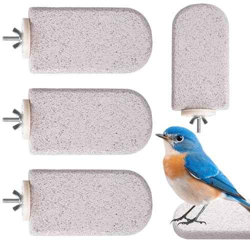 Qfdiwr Sitzstange für Vogelkäfig, 4-teilig, Vulkanstein, gefrostet, Kratzstab für Vögel – Spielzeug, Übung, Kaustick, Krallen, Nest für Tiertraining, Outdoor | Tier-Übungsspiel Qfdiwr Sitzstange für Vogelkäfig, 4-teilig, Vulkanstein, gefrostet, Kratzstab für Vögel – Spielzeug, Übung, Kaustick, Krallen, Nest für Tiertraining, Outdoor | Tier-Übungsspiel von Qfdiwr