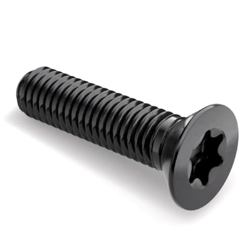 Flachkopfschrauben M2 M3 M4 M5 M6 M8 M10 Schwarze 304 Edelstahl Senkkopf-Torx-Schrauben, 10 Stück, M6x10-316 schwarz von Qgsaghty