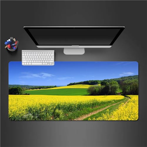 Mauspad Gaming Blumenlandschaft Mauspad XXL 700x400x3mm Verlängertes Großes Schreibtischauflage mit Einer speziellen Oberfläche verbessert Geschwindigkeit und Präzision für PC Laptop von QiHon