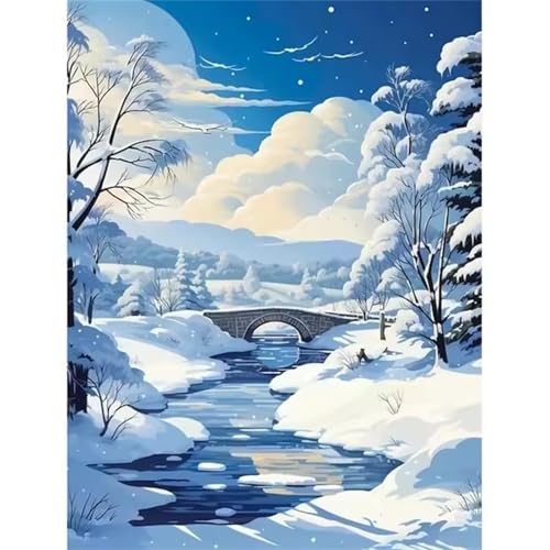 QiHon Malen Nach Zahlen Erwachsene Winterlandschaft, Schnee Malen Nach Zahlen für Anfänger, mit Pinsels und Acrylfarbe Als Geschenke und Heimdekoration, Ohne Rahmen 40x50cm QiHon Malen Nach Zahlen Erwachsene Winterlandschaft, Schnee Malen Nach Zahlen für Anfänger, mit Pinsels und Acrylfarbe Als Geschenke und Heimdekoration, Ohne Rahmen 40x50cm von QiHon