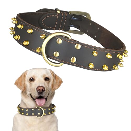 Qianruida Hundehalsband mit Spitzen, Nieten, Halsband aus Leder für Hunde, Anti-Bissschutz, verstellbar, Individualität, geeignet für große Hunde - XXL von QianRuiDa