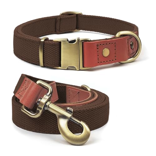 Qianruida Hundehalsband und Leine Set Hunde Halsband und Leine Verstellbares Hundehalsband Hundehalsbänd Leine für Kleine Mittlere Große Hunde- Braun,XL Qianruida Hundehalsband und Leine Set Hunde Halsband und Leine Verstellbares Hundehalsband Hundehalsbänd Leine für Kleine Mittlere Große Hunde- Braun,XL von QianRuiDa