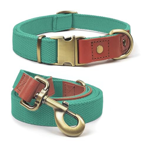 Qianruida Hundehalsband und Leine Set Hunde Halsband und Leine Verstellbares Hundehalsband Hundehalsbänd Leine für Kleine Mittlere Große Hunde- Cyan,XL Qianruida Hundehalsband und Leine Set Hunde Halsband und Leine Verstellbares Hundehalsband Hundehalsbänd Leine für Kleine Mittlere Große Hunde- Cyan,XL von QianRuiDa
