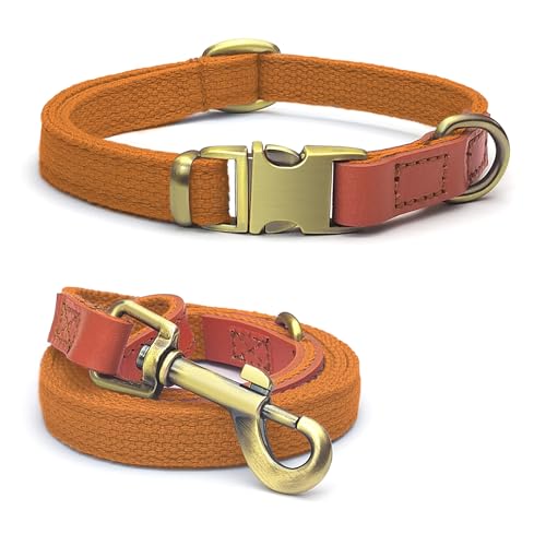 Qianruida Hundehalsband und Leine Set Hunde Halsband und Leine Verstellbares Hundehalsband Hundehalsbänd Leine für Kleine Mittlere Große Hunde- Orange,L Qianruida Hundehalsband und Leine Set Hunde Halsband und Leine Verstellbares Hundehalsband Hundehalsbänd Leine für Kleine Mittlere Große Hunde- Orange,L von QianRuiDa