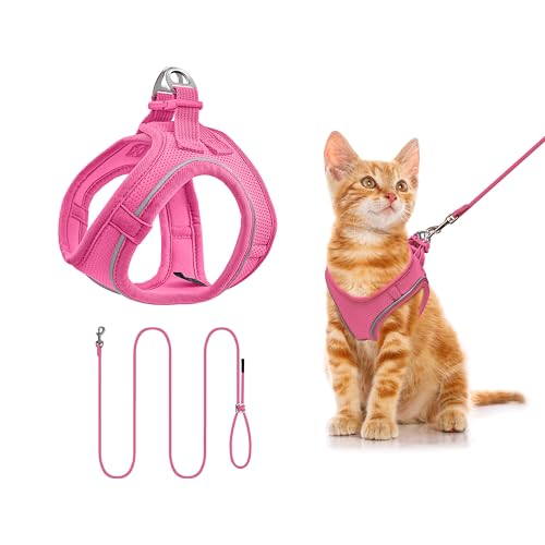 Qianruida Katzengeschirr, Kätzchen, verstellbar, Set mit Geschirr und Leine für Katzen, Haustiere, wasserdicht, reflektierend, aus atmungsaktivem weichem Mesh (ROSEO XXXS) von QianRuiDa