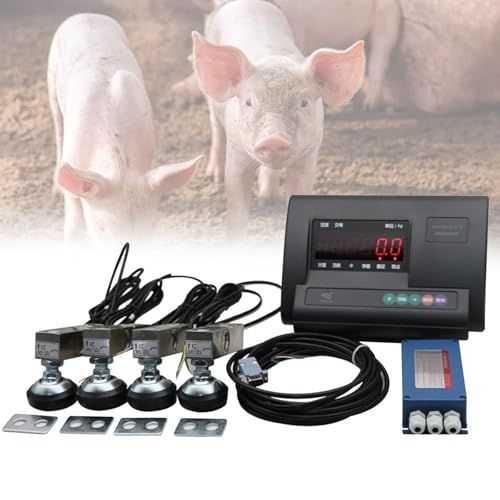 1000 Kg/2000 Kg/3000 Kg/5000 Kg Mit Eingebauter Batterie Bodenwaage Kit Viehwaage Kit Bauen Sie Ihre Eigene Waage Plattform Waage Waage Mit Anzeige Und Wägezelle,3000kg 1000 Kg/2000 Kg/3000 Kg/5000 Kg Mit Eingebauter Batterie Bodenwaage Kit Viehwaage Kit Bauen Sie Ihre Eigene Waage Plattform Waage Waage Mit Anzeige Und Wägezelle,3000kg von Qiang