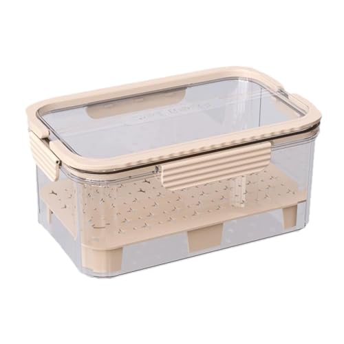 Qianly Eisgekühlter Camping-Lebensmittelbehälter, Obst-Aufbewahrungsbehälter, Obst-Serviertablett für den Kühlschrank, Beige von Qianly
