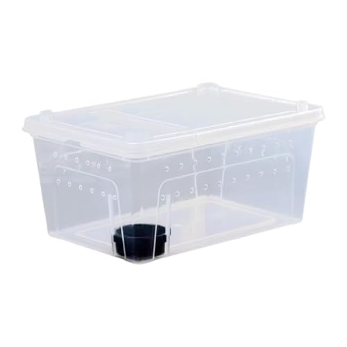 Qianly Reptilien Zuchtbox Als Futterbox Und Zuchtkäfig Dieser Brutcontainer Und Transportbehälter Aus Transparentem Polypropylen für Die Brut von Eiern Und, 32x22x15cmschwarze Qianly Reptilien Zuchtbox Als Futterbox Und Zuchtkäfig Dieser Brutcontainer Und Transportbehälter Aus Transparentem Polypropylen für Die Brut von Eiern Und, 32x22x15cmschwarze von Qianly
