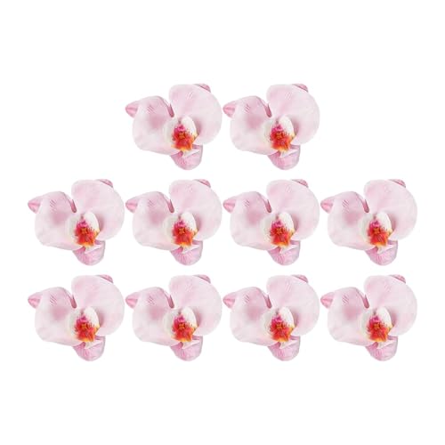 Qianly Set mit 10 Schmetterlings Und Orchideen Tortendekorationen, für Qianly Set mit 10 Schmetterlings Und Orchideen Tortendekorationen, für von Qianly