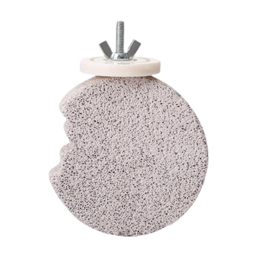Qianly Sitzstange für Vögel Kletterspielzeug Schleifstein Zur Krallenpflege Und Schnabelwetzstein für Den Käfig Langlebiges Zubehör Aus Vulkangestein für Ei, 7.8 X 7.8 cm Qianly Sitzstange für Vögel Kletterspielzeug Schleifstein Zur Krallenpflege Und Schnabelwetzstein für Den Käfig Langlebiges Zubehör Aus Vulkangestein für Ei, 7.8 X 7.8 cm von Qianly