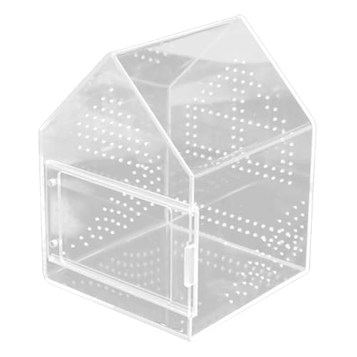 Qianly Springspinnengehege Terrarium Habitat Mikrohabitat Kleine Zuchtbox für, 17cmx17cmx22cm von Qianly