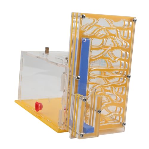 Qianly Transparentes Aus Acryl mit Futterbereich Und Belüftung für Schule Und Zuhause, Gelb von Qianly