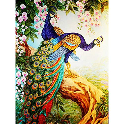 DIY 5D Diamant Malerei Set Vollbohrer Paar Pfau 50x70cm Diamant Painting Bilder Crystal Strass Stickerei Kreuzstich Diamond Painting Kits für Home Wall Art Dekoration Q1135 von Qiaojie