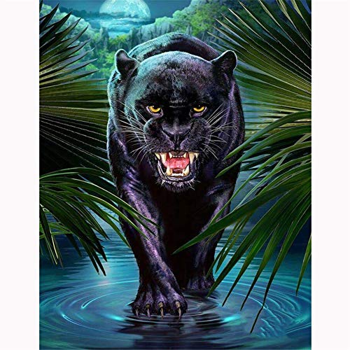 DIY 5D Diamant Malerei Set Vollbohrer Schwarzer Panther 50x70cm Diamant Painting Bilder Crystal Strass Stickerei Kreuzstich Diamond Painting Kits für Home Wall Art Dekoration Q554 von Qiaojie