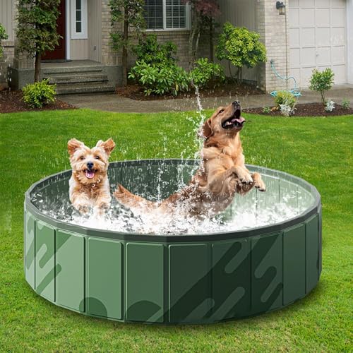 Hundepool, 80x80x20cm Faltbarer Swimmingpool Für Katzen Faltbarer Hunde Pools Hundebadewanne rutschfeste Und Verschleißfeste PVC Hunde Schwimmbad Hundebadewanne Planschbecken Hundepool, 80x80x20cm Faltbarer Swimmingpool Für Katzen Faltbarer Hunde Pools Hundebadewanne rutschfeste Und Verschleißfeste PVC Hunde Schwimmbad Hundebadewanne Planschbecken von Qidures