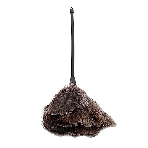 Qiilu Large Ostrich Feather Duster Large Ostrich Feather Duster Staubwedel mit Langem Griff, 33 X 5 X 4 Mini, Handgefertigt, Waschbar, Wiederverwendbar, Straußenfeder-Staubwedel für Bücher, Tasta von Qiilu